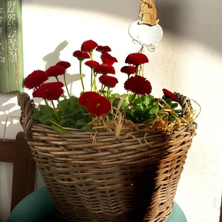 Ambitus-haz Egerszalók