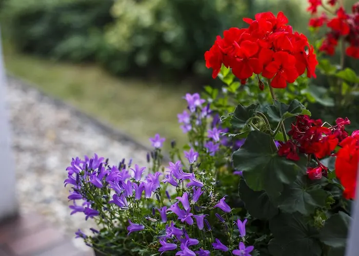 Διαμέρισμα Ambitus-haz