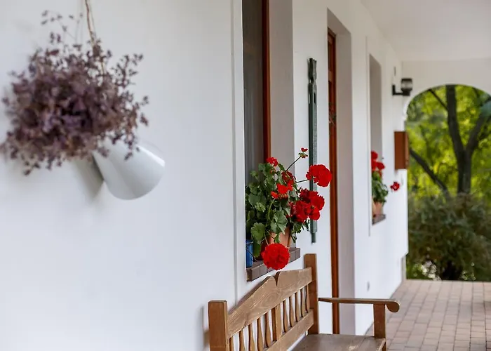 Διαμέρισμα Ambitus-haz