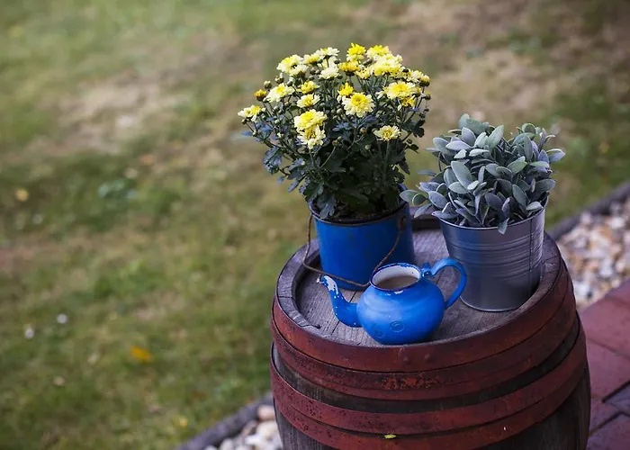 Διαμέρισμα Ambitus-haz Egerszalók