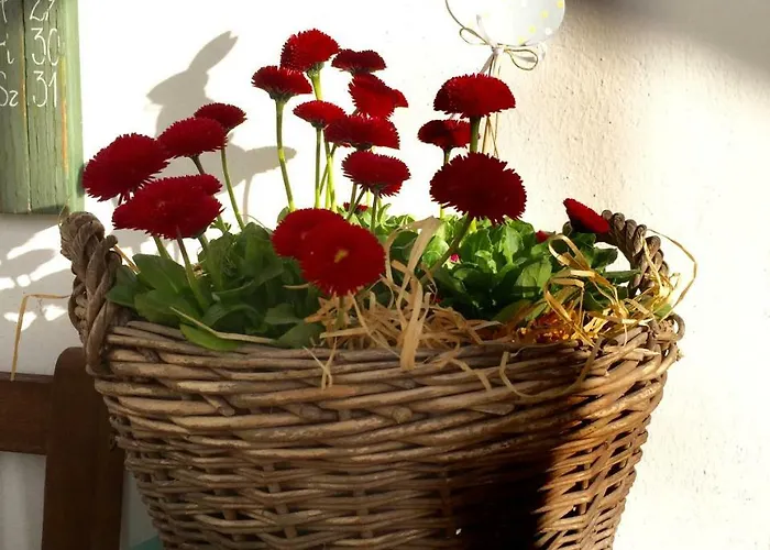 Ambitus-haz Egerszalók