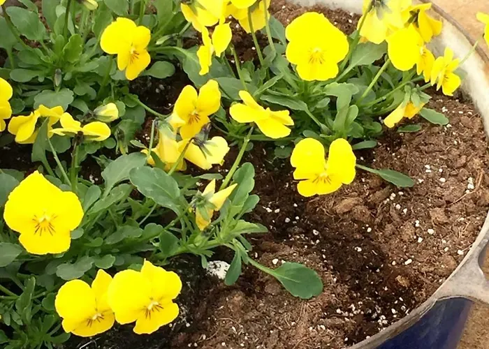 Apartamento Ambitus-haz